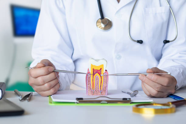 Best Emergency Treatment for Dental Infections or Abscesses in Chalfont, PA